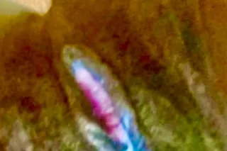 80 ss located on ,allentown road😘💦greek/anl ss 250 - Image 5